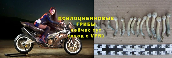 гидра Покров
