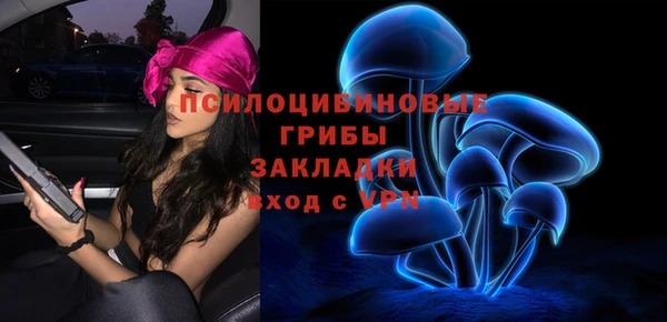 прущие грибы Абинск