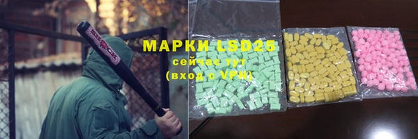 прущие грибы Абинск