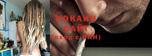 прущие грибы Абинск