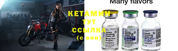 прущие грибы Абинск