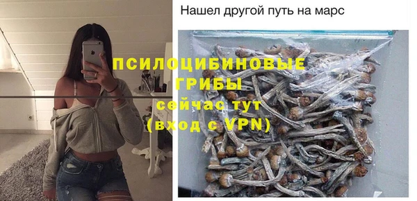 a pvp Абаза