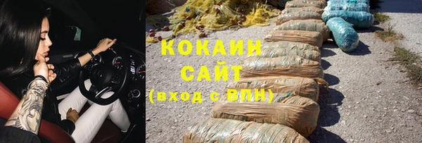 прущие грибы Абинск